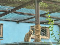 -青藏高原野生动物园