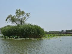 -白洋淀风景区