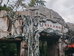 -莫里热带雨林景区