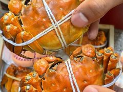 -黄记大闸蟹专卖店·活蟹·醉蟹