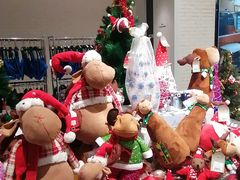 -T11生鲜超市(朝阳公园店)