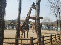 -大连森林动物园