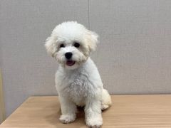 -安安宠医·臻爱宠物医院·宠保定点(营门口路分院)