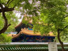 -玫瑰红烤羊排(北新桥三条店)