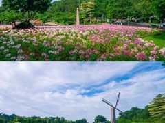 -广州莲花山旅游区
