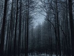 -山王坪喀斯特国家生态公园
