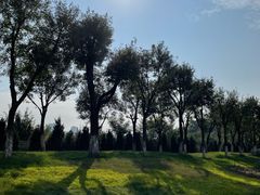 -汉长安城未央宫国家考古遗址公园