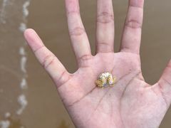 -青岛金沙滩