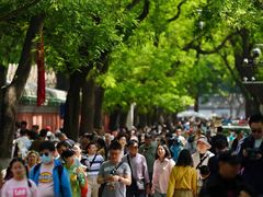 -北京国子监胡同
