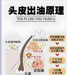 -Bollins波林丝•专研护发中心