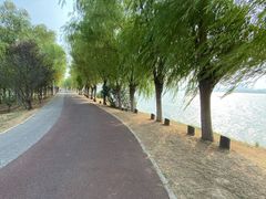 -艾溪湖湿地公园