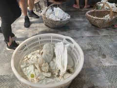 -美家乐农庄·露营·团建(大治路店)