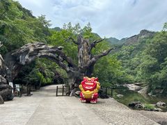 -龙湾潭国家森林公园