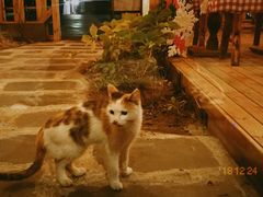 -慢隅法式小馆·生日求婚西餐厅