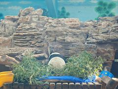 -石家庄市动物园