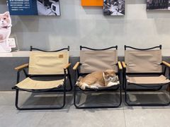 -伟伟宠物医院·CT影像中心·瑞派犬猫综合性门诊(汉口总院)