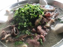 -小杨翘脚牛肉