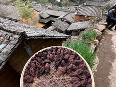 -杨家堂村