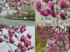 -杨高南路(地铁站)