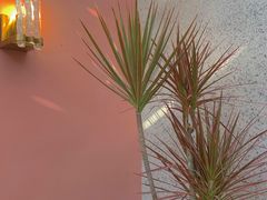 -三间愈舍·Triple Spa(重庆IFS国金中心店)