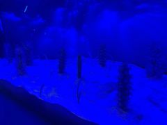 -芜湖新华联大白鲸海洋公园