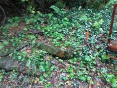 -南京市无想山景区