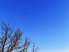 -长白山万达国际滑雪场