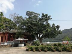 -飞霞风景名胜区