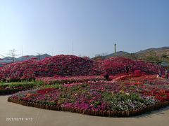 -盈香心动乐园