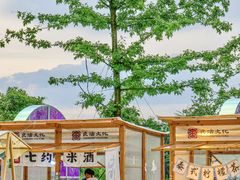 -良渚古城遗址公园