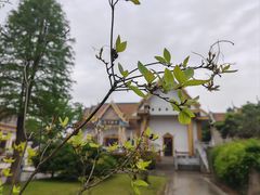 -报恩禅寺