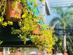 -Onion restaurant
