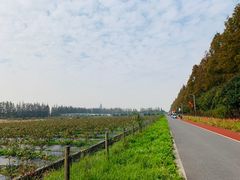 -上海长兴岛郊野公园