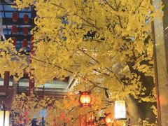 -袁州宴·地道袁州菜(袁山东路店)