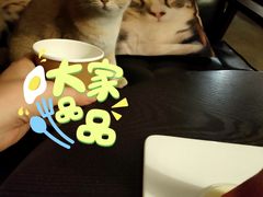 -咖法森林·咖啡  酒吧(天河店)