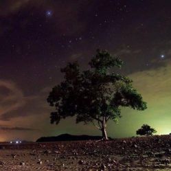 -薇兰专业脱毛连锁机构