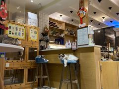 -滚猫咖啡·猫咖·猫友好撸猫(未来城店)
