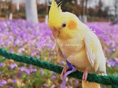 -钟山体育运动公园
