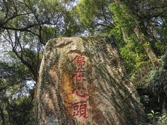 -青芝山风景名胜区