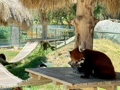 -水上乐园·欢乐世界