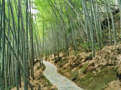 -黄山翡翠谷景区