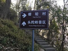-紫金山山顶公园