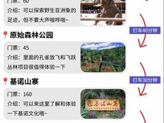 -西双版纳原始森林公园