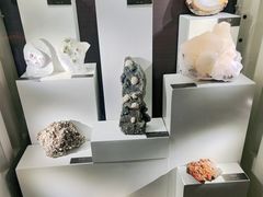 -重庆自然博物馆(新馆)