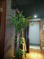 -鳌首刺青纹身 穿孔饰品店