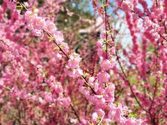 -长春公园(普阳街道)