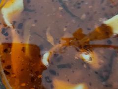 -45°李小姐土豆粉(世纪港湾店)