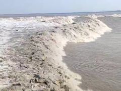 -观潮胜地公园