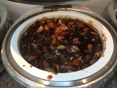 -虹桥机场国航贵宾室v8