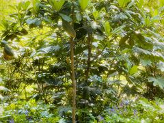 -苏州河梦清园环保主题公园